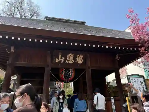弘明寺の{uncategorized: "未分類", other: "その他", undefined: "問題あり", building: "その他建物", grave: "お墓", sacred_gate: "鳥居", guardian: "狛犬", statue: "像", buddha: "仏像", history: "歴史", nature: "自然", garden: "庭園", animal: "動物", pagoda: "塔", temizu: "手水舎", mountain_gate: "山門・神門", sanctuary: "本殿・本堂", subordinate: "末社・摂社", art: "芸術", scenery: "景色", jizo: "地蔵", ema: "絵馬", goshuin: "御朱印", omikuji: "おみくじ", items: "授与品その他", amulet: "お守り", goshuincho: "御朱印帳", eats: "食事", festival: "お祭り", votive_dance: "神楽", shichigosan: "七五三参", wedding: "結婚式", experience: "体験その他", initially: "初詣", around: "周辺", anti_infection: "感染症対策"}