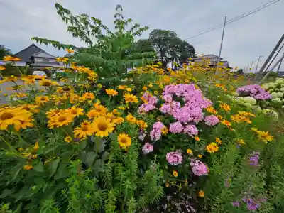 能護寺(埼玉県)