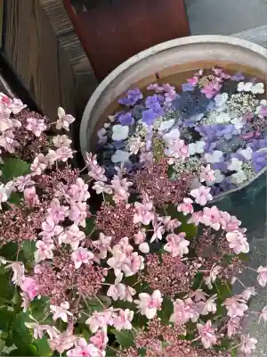 極楽寺(静岡県)