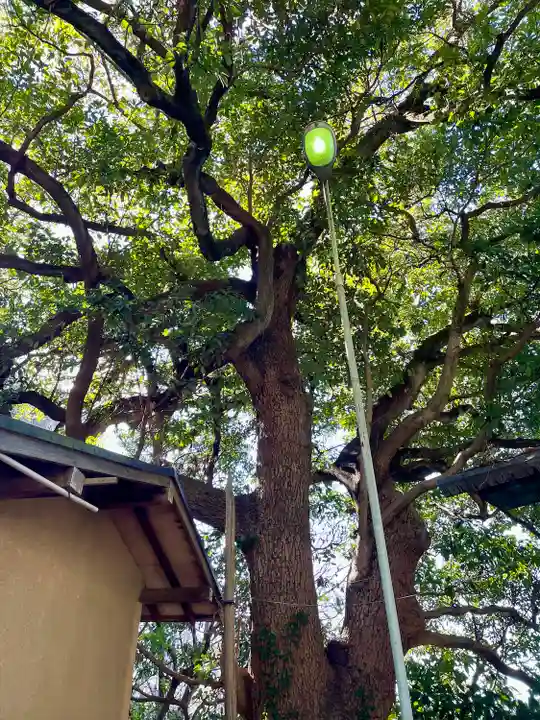 上野毛稲荷神社(東京都)