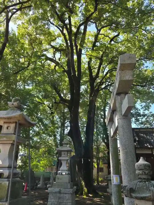 春日神社(埼玉県)