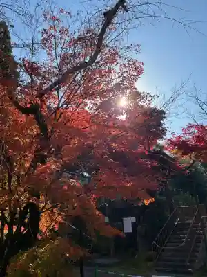 禅林寺（永観堂）の{uncategorized: "未分類", other: "その他", undefined: "問題あり", building: "その他建物", grave: "お墓", sacred_gate: "鳥居", guardian: "狛犬", statue: "像", buddha: "仏像", history: "歴史", nature: "自然", garden: "庭園", animal: "動物", pagoda: "塔", temizu: "手水舎", mountain_gate: "山門・神門", sanctuary: "本殿・本堂", subordinate: "末社・摂社", art: "芸術", scenery: "景色", jizo: "地蔵", ema: "絵馬", goshuin: "御朱印", omikuji: "おみくじ", items: "授与品その他", amulet: "お守り", goshuincho: "御朱印帳", eats: "食事", festival: "お祭り", votive_dance: "神楽", shichigosan: "七五三参", wedding: "結婚式", experience: "体験その他", initially: "初詣", around: "周辺", anti_infection: "感染症対策"}