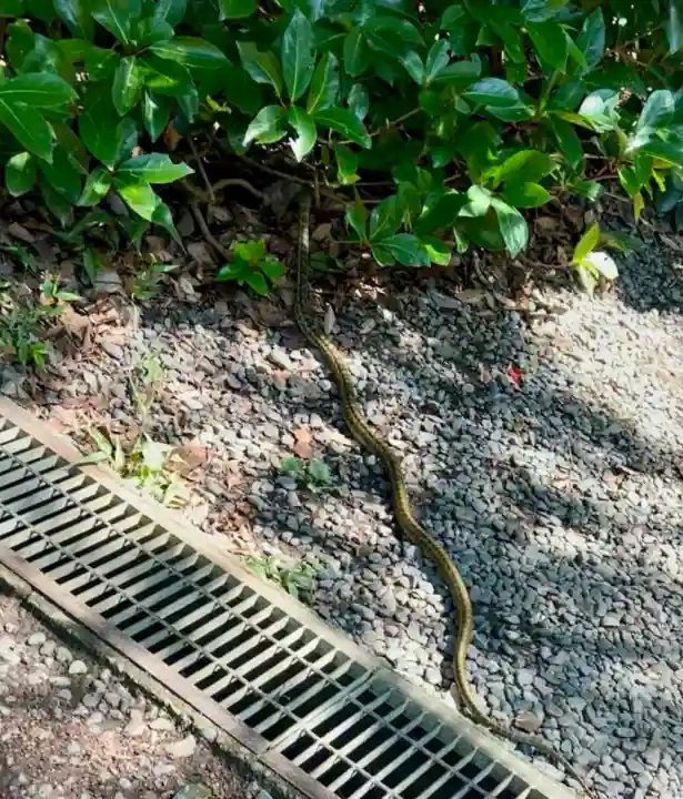 八千戈神社(静岡県)