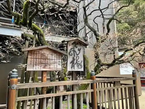 太宰府天満宮の自然