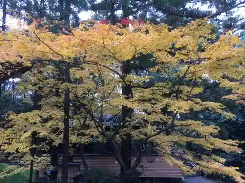 大神神社の自然