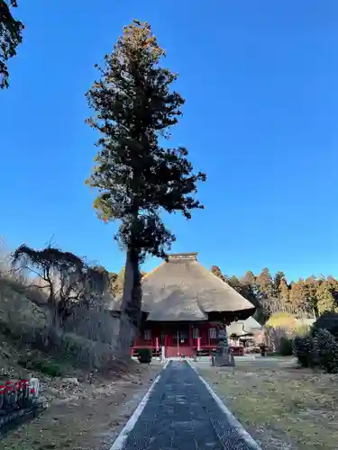 医王寺の本殿