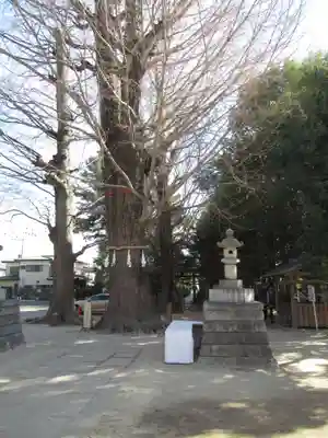 春日部八幡神社(埼玉県)