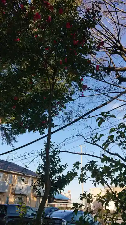 十二所社の自然