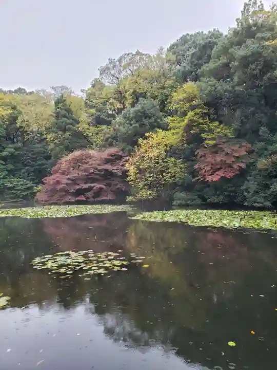 明治神宮の周辺