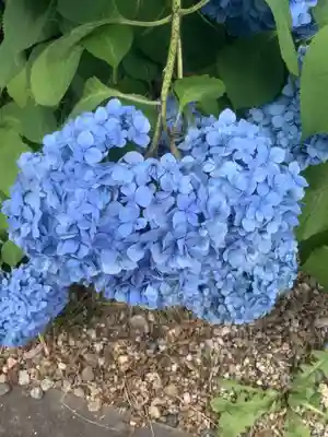 庄中観音堂(愛知県)