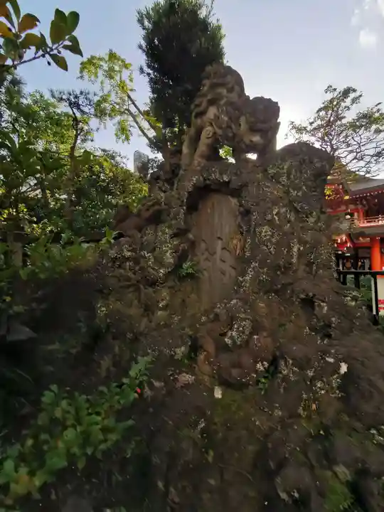 千葉神社の狛犬