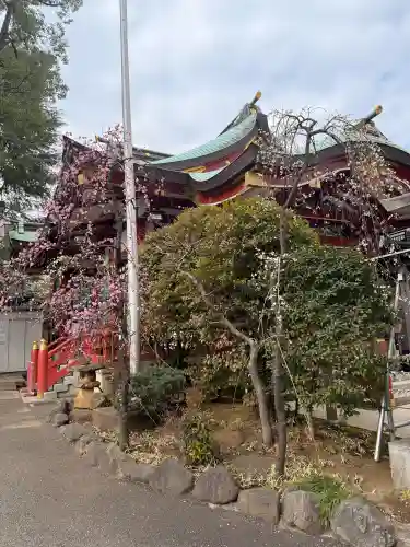居木神社の{uncategorized: "未分類", other: "その他", undefined: "問題あり", building: "その他建物", grave: "お墓", sacred_gate: "鳥居", guardian: "狛犬", statue: "像", buddha: "仏像", history: "歴史", nature: "自然", garden: "庭園", animal: "動物", pagoda: "塔", temizu: "手水舎", mountain_gate: "山門・神門", sanctuary: "本殿・本堂", subordinate: "末社・摂社", art: "芸術", scenery: "景色", jizo: "地蔵", ema: "絵馬", goshuin: "御朱印", omikuji: "おみくじ", items: "授与品その他", amulet: "お守り", goshuincho: "御朱印帳", eats: "食事", festival: "お祭り", votive_dance: "神楽", shichigosan: "七五三参", wedding: "結婚式", experience: "体験その他", initially: "初詣", around: "周辺", anti_infection: "感染症対策"}