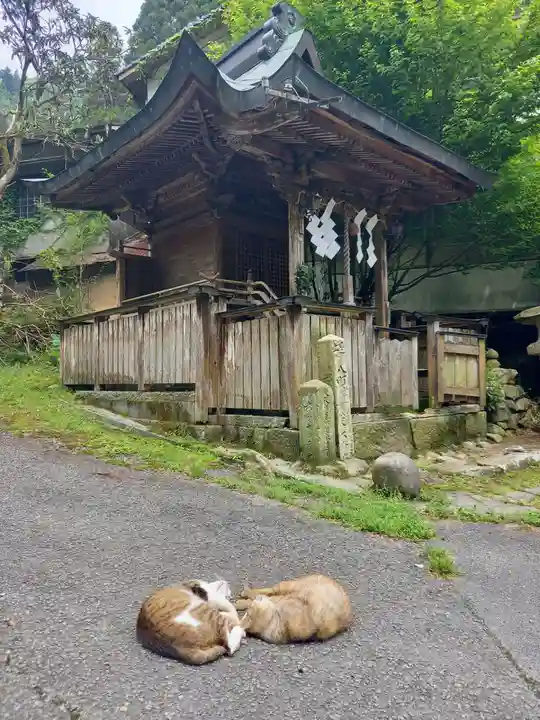 賀野神社の動物