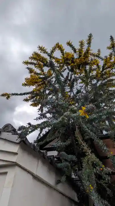 金光院(京都府)