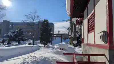 空知稲荷神社(空知神社)の鳥居