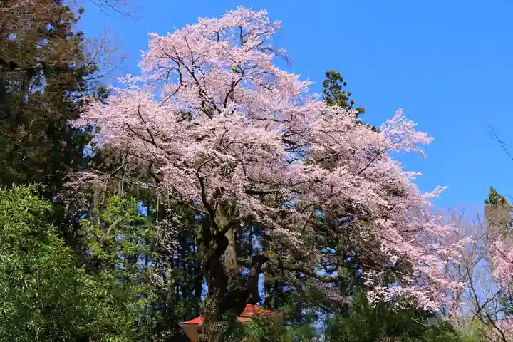荒井馬頭観音堂の景色
