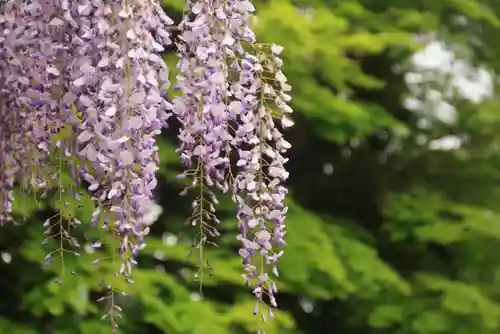 神炊館神社 ⁂奥州須賀川総鎮守⁂の庭園