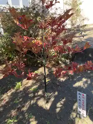 稲荷神社(神奈川県)