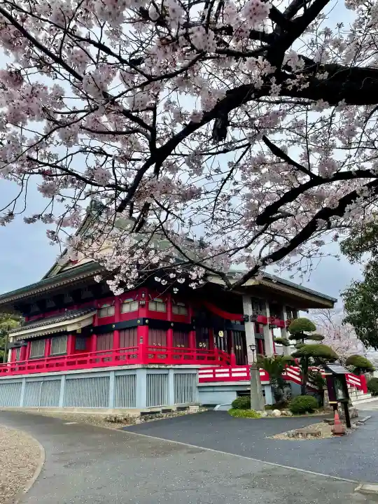 千葉寺の{uncategorized: "未分類", other: "その他", undefined: "問題あり", building: "その他建物", grave: "お墓", sacred_gate: "鳥居", guardian: "狛犬", statue: "像", buddha: "仏像", history: "歴史", nature: "自然", garden: "庭園", animal: "動物", pagoda: "塔", temizu: "手水舎", mountain_gate: "山門・神門", sanctuary: "本殿・本堂", subordinate: "末社・摂社", art: "芸術", scenery: "景色", jizo: "地蔵", ema: "絵馬", goshuin: "御朱印", omikuji: "おみくじ", items: "授与品その他", amulet: "お守り", goshuincho: "御朱印帳", eats: "食事", festival: "お祭り", votive_dance: "神楽", shichigosan: "七五三参", wedding: "結婚式", experience: "体験その他", initially: "初詣", around: "周辺", anti_infection: "感染症対策"}