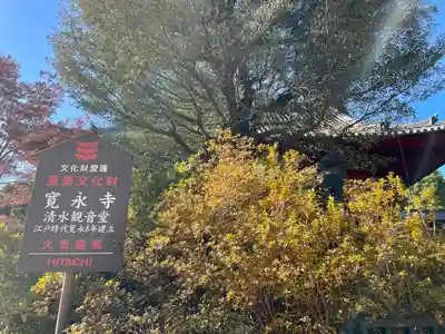 清水観音堂(東京都)