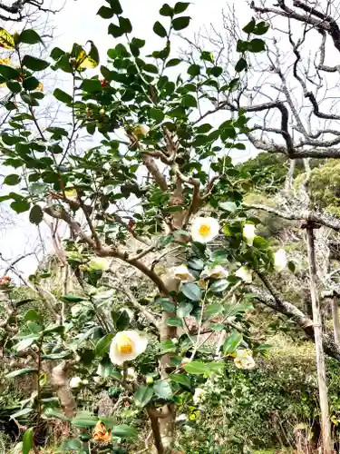 瑞泉寺(神奈川県)