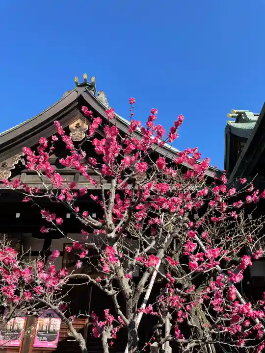 大阪天満宮の自然