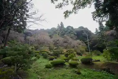 南原寺(山口県)