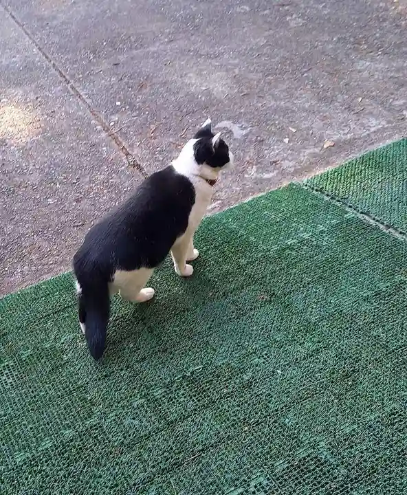 榛名神社(群馬県)
