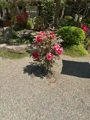 金蛇水神社(宮城県)