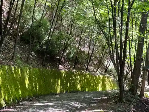 母の白滝神社の周辺