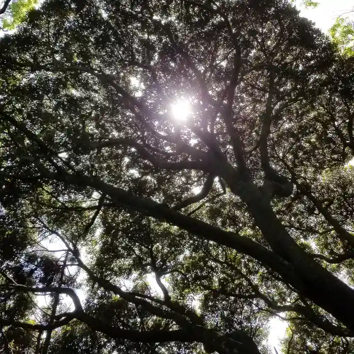 沼尾神社の自然