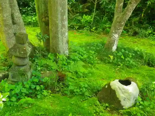 黄梅院（円覚寺塔頭）の自然