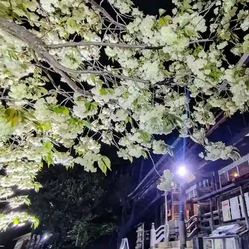 上地八幡宮(愛知県)