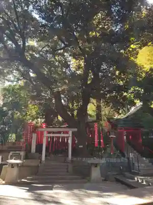 乃木神社(東京都)