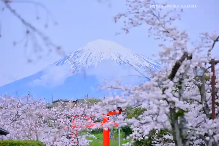 富士山本宮浅間大社(静岡県)