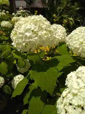 火防 陶器神社(坐摩神社末社)(大阪府)
