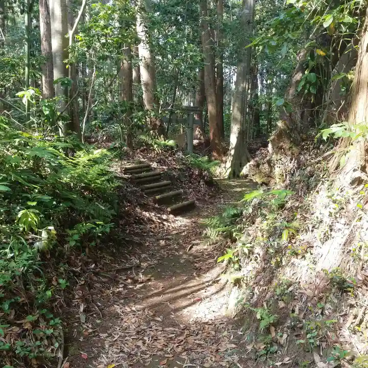 香取神社の自然