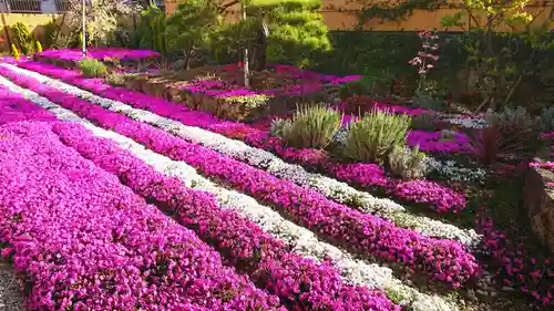寿量山　速成寺の自然