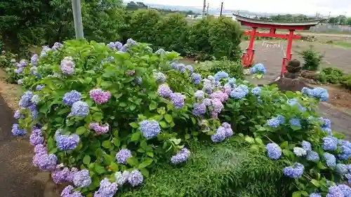 石母田　三吉神社の自然