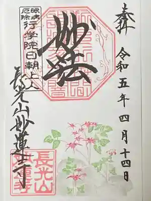 碇草(いかりそう)