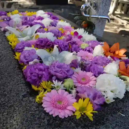 春日神社の手水舎