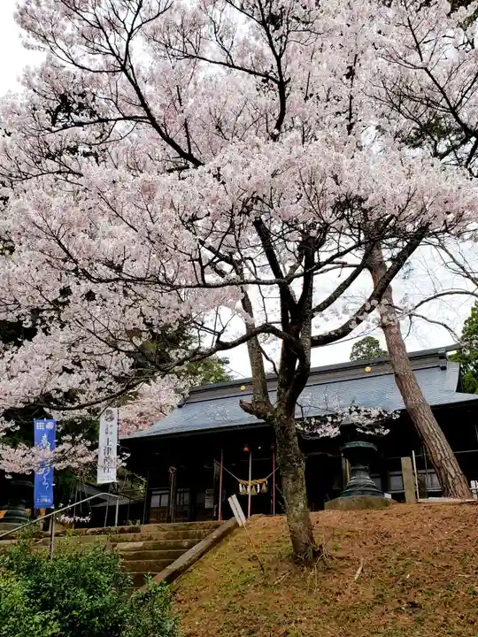 土津神社|こどもと出世の神さまの自然