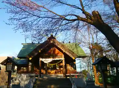 信濃神社の本殿・本堂