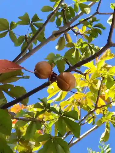 厚別神社(北海道)