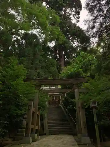 田間神社の鳥居