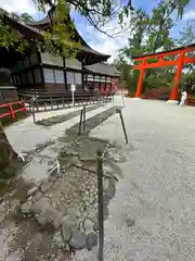 賀茂御祖神社（下鴨神社）(京都府)