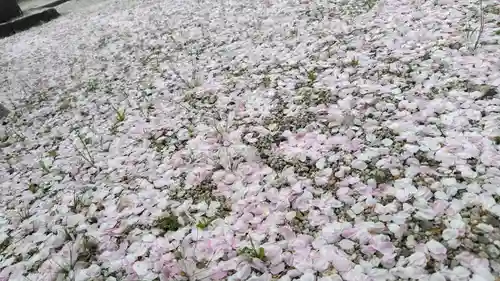 伊豆神社(滋賀県)