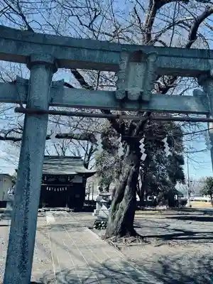 八幡大神社(東京都)