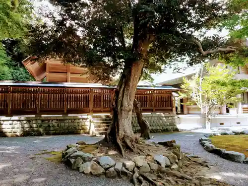 安房神社の自然