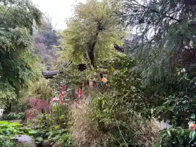 妙法寺(兵庫県)